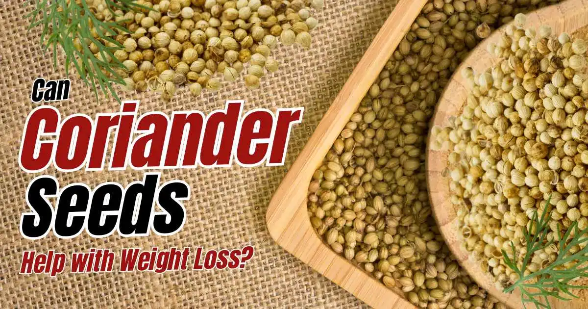 Can-Coriander-Seeds-Help-with-Weight-Loss